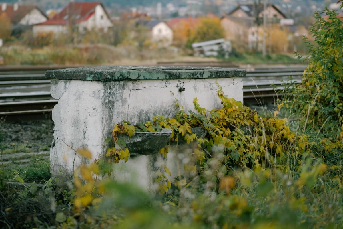 Fotografie realizata in statia CFR Darste, Brasov, Romania