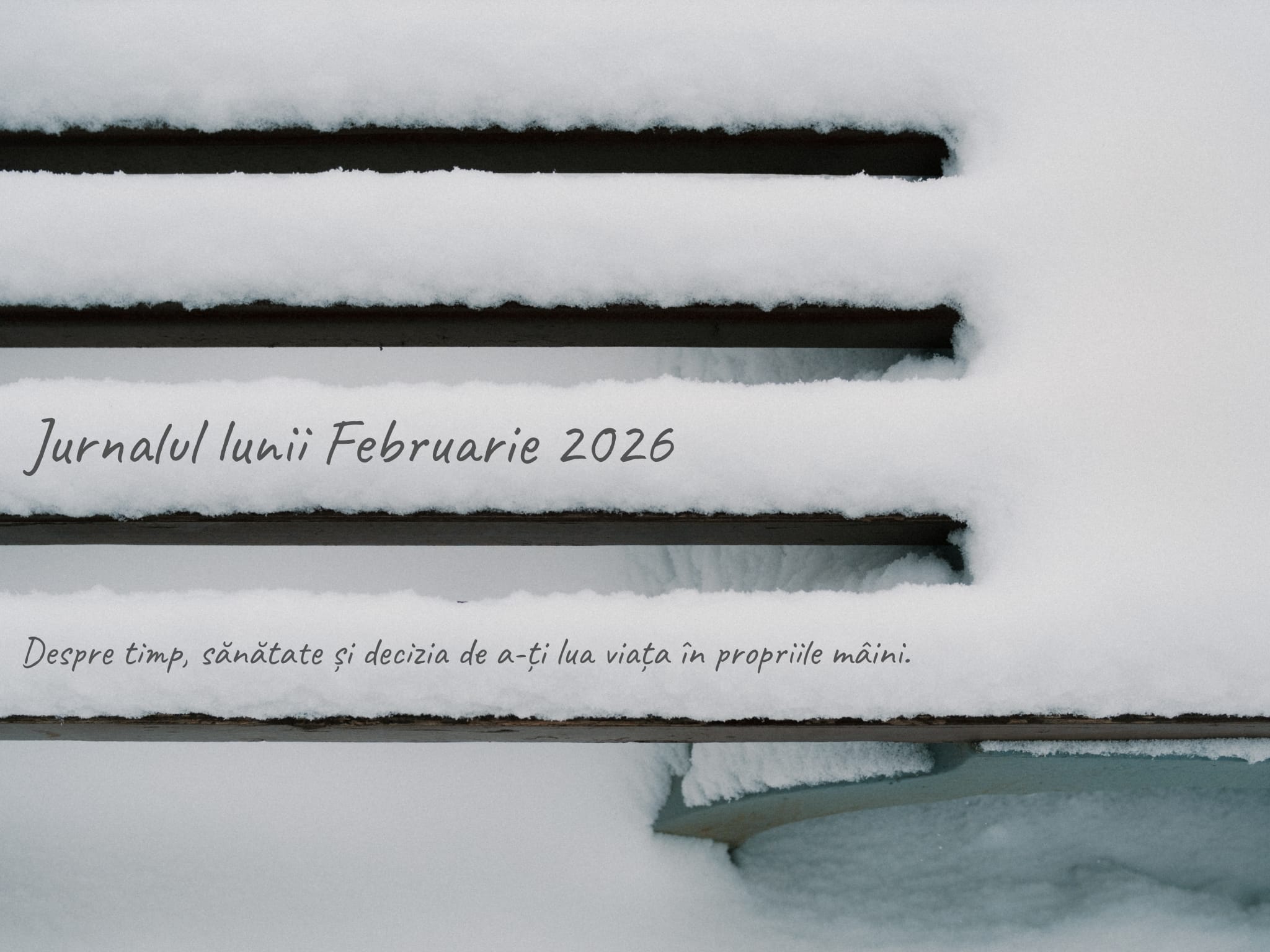 Jurnal de Februarie: despre timp, sănătate și decizia de a-ți lua viața în propriile mâini