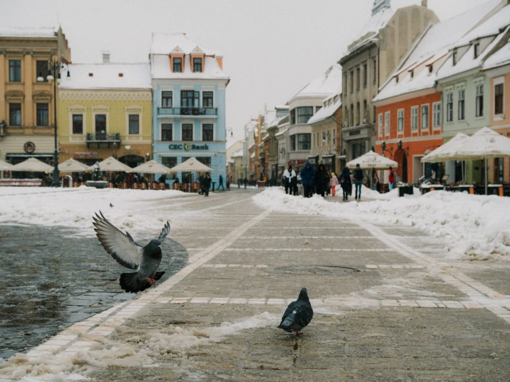 Fotografie urbana din centrul Orasului Brasov - Februarie 2026, foto de Alexandra SG