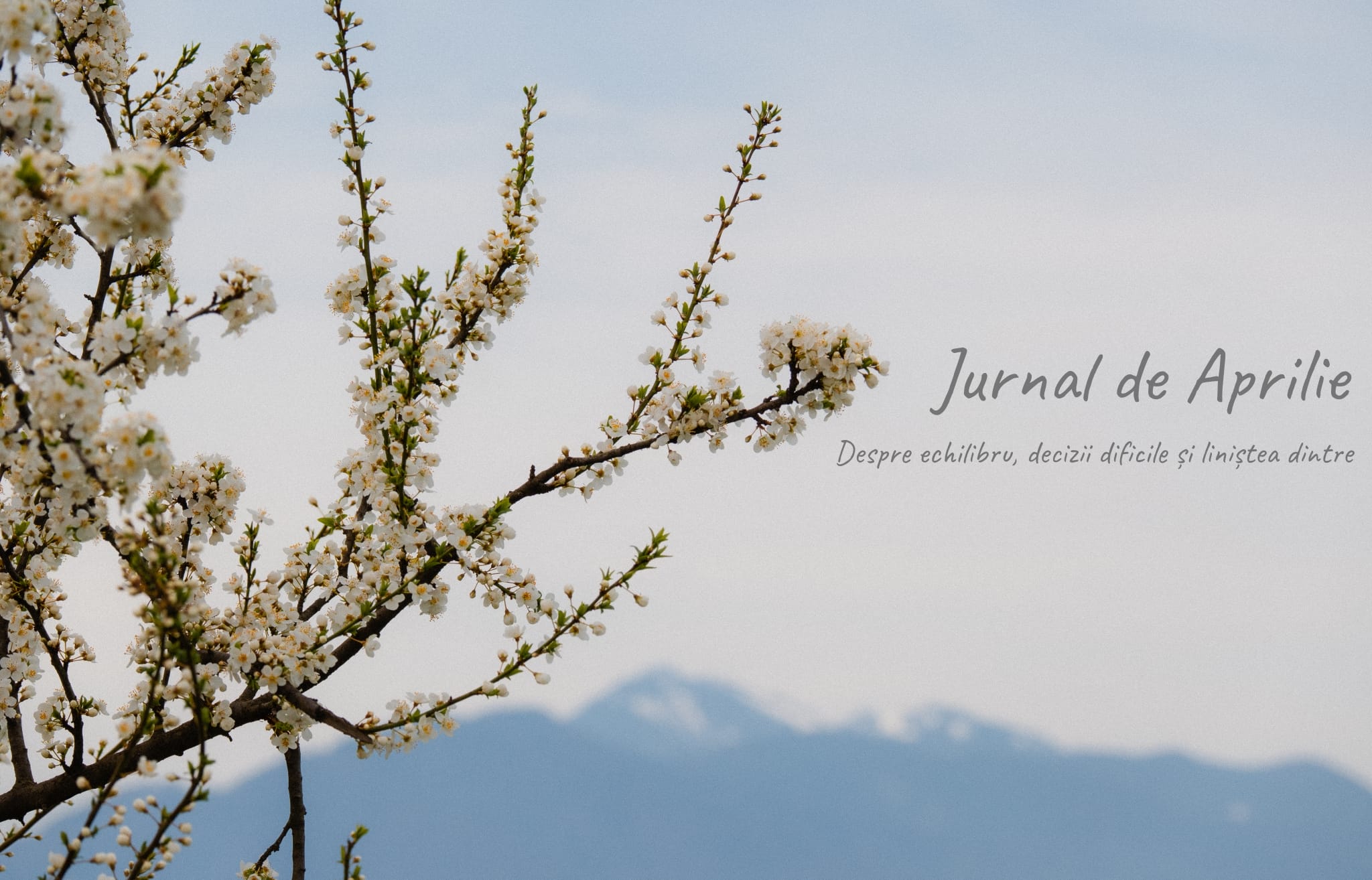 Jurnal de Aprilie – Despre echilibru, decizii dificile și liniștea dintre extreme